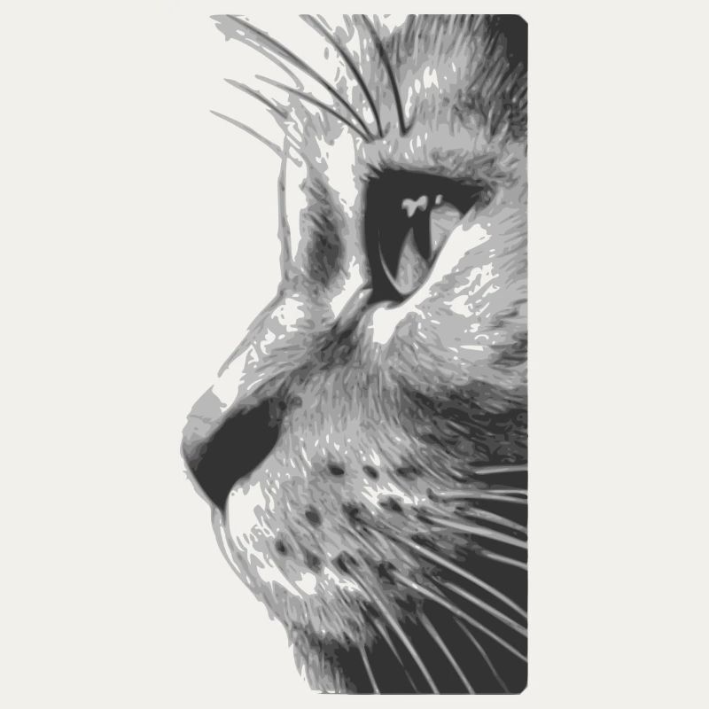 Katzengesicht