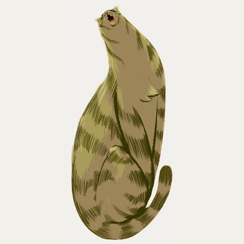 Squishy Olive