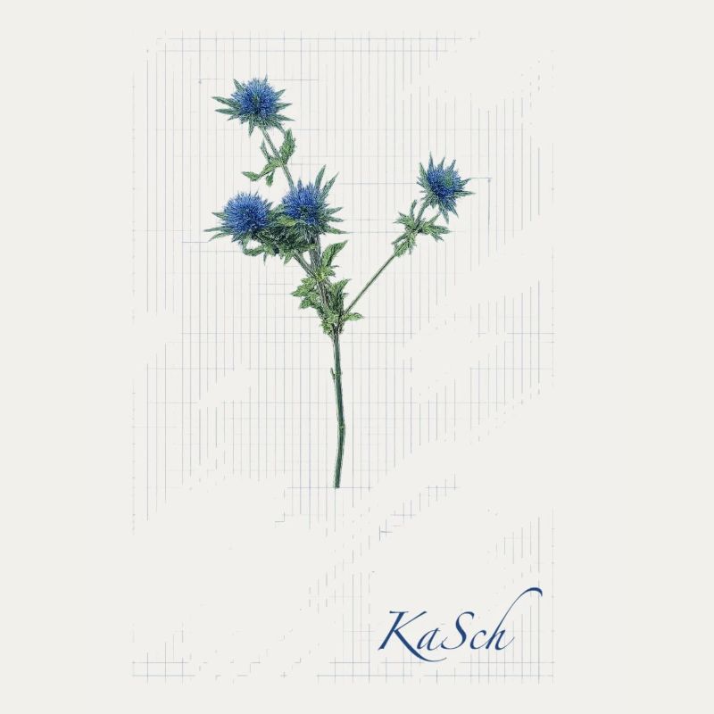 Distel_KaSch