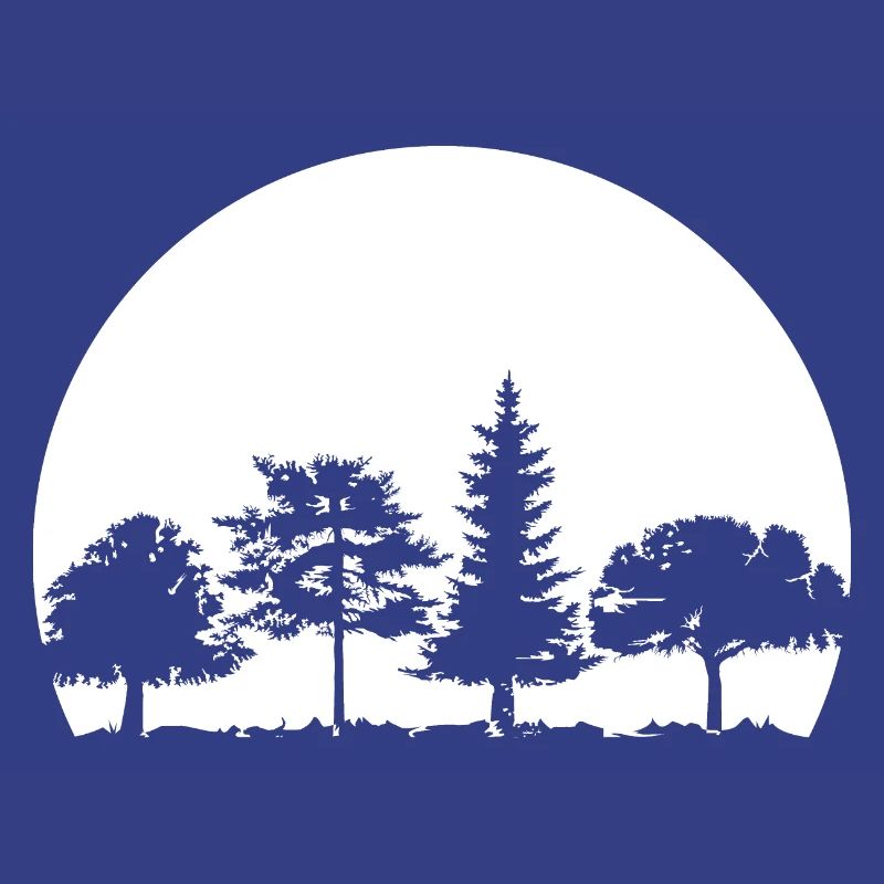 Forest, Moon, Mixed Forest, Nature, Oak, Beech, Birch, Spruce