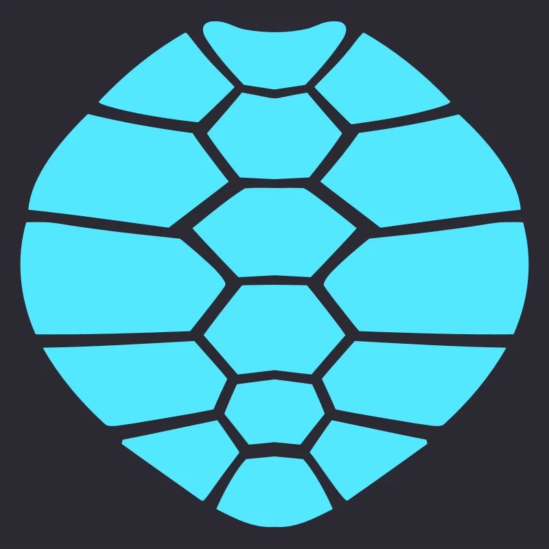 Turtle shell pattern turtle icon cool