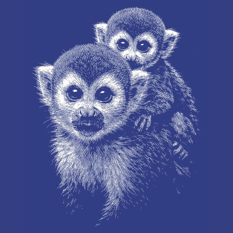 Squirrel monkey