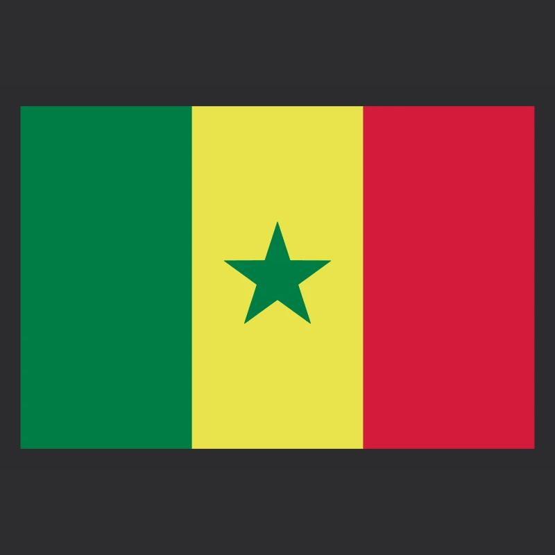 Drapeau Sénégal / Senegal flag