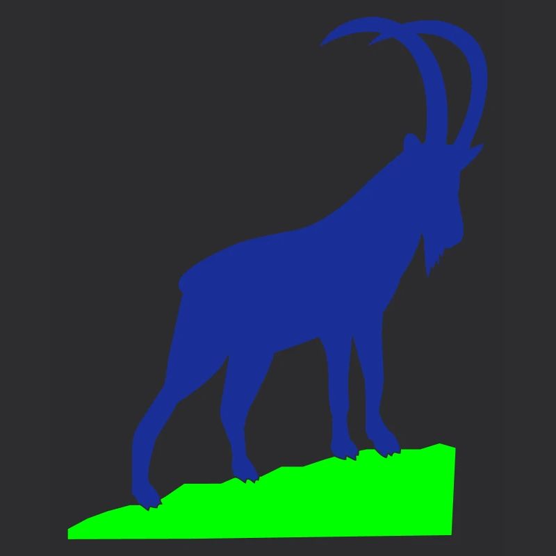 Capricorn