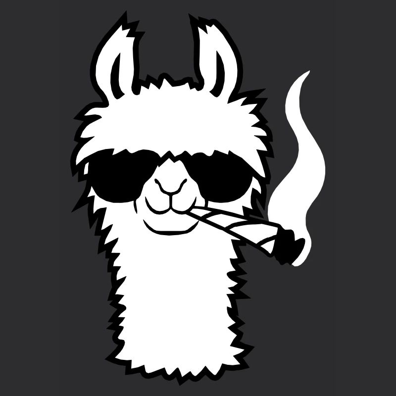 Lama Avec Joint