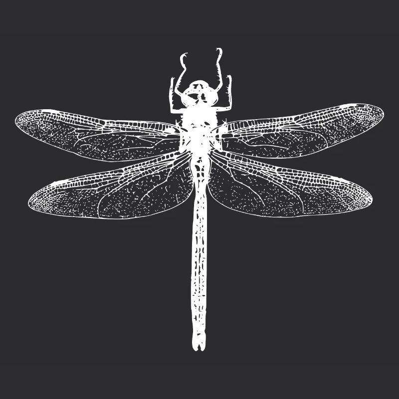 Libelle