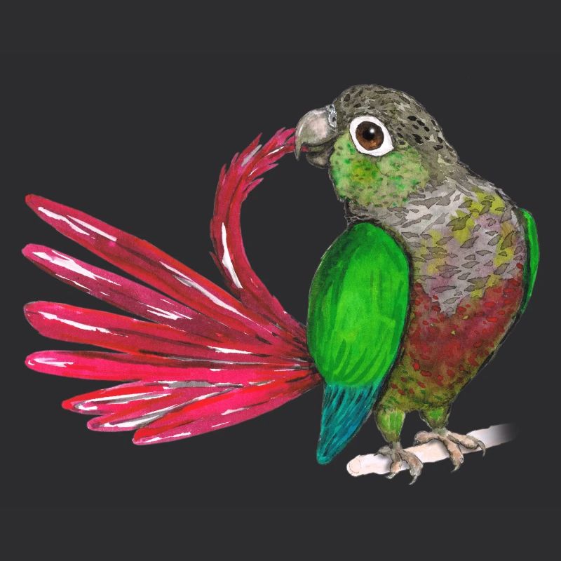 Brushing green-cheeked parakeet.