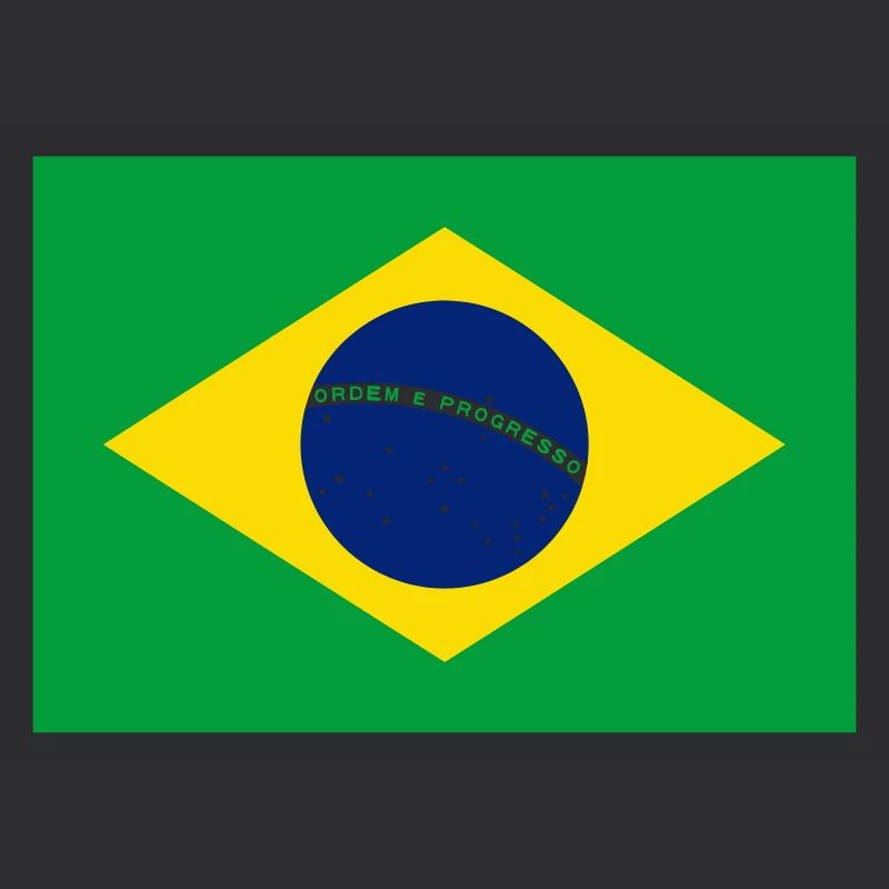 Brazil flag / Drapeau Brésil