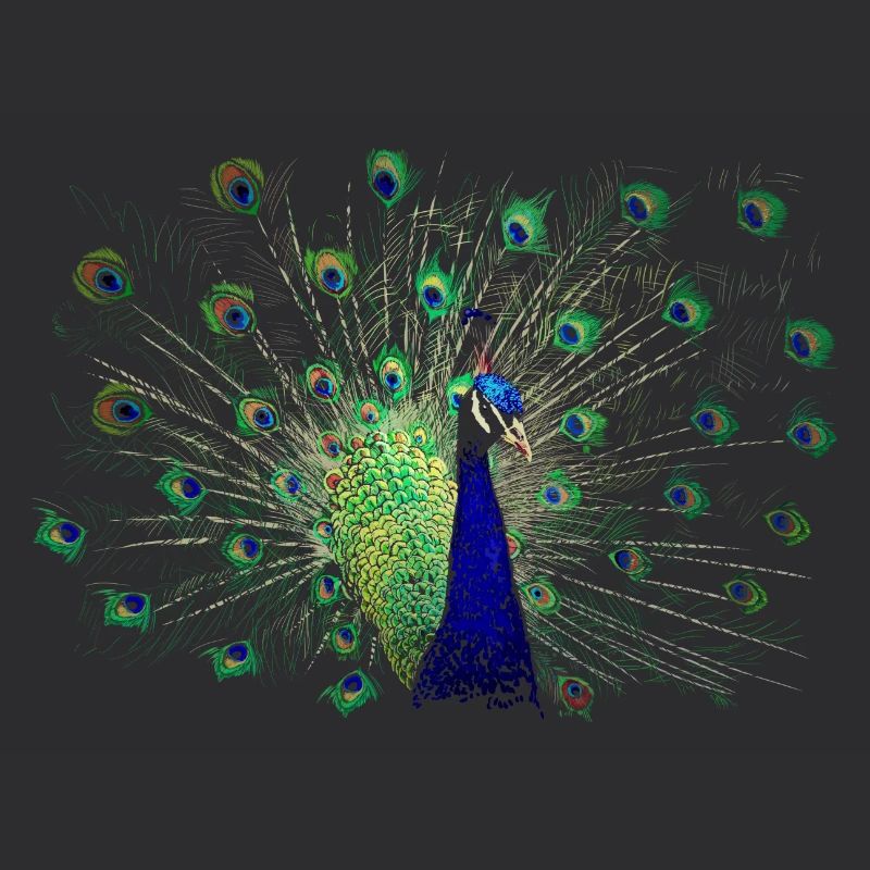 Peacock
