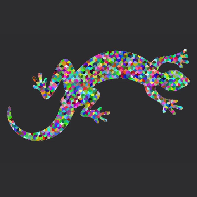 Gecko, salamandre, concours de modèles