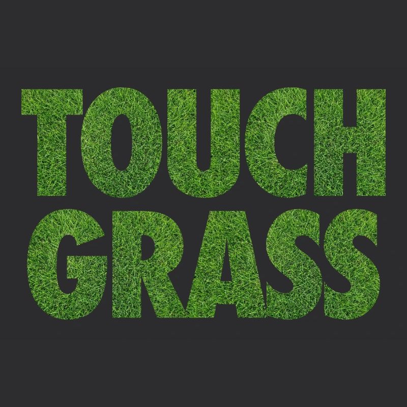 Slogan Internet du mème Touch Grass