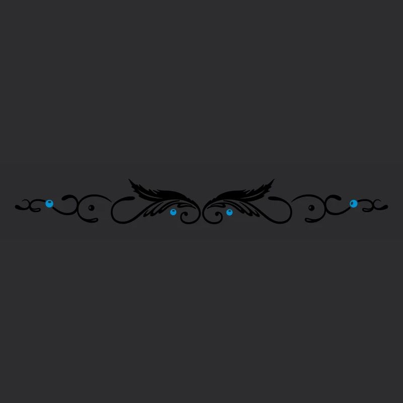 Ornament with two feathers, indian style.