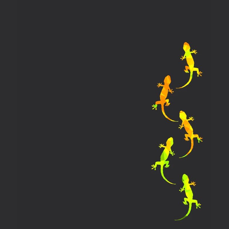 Geckos