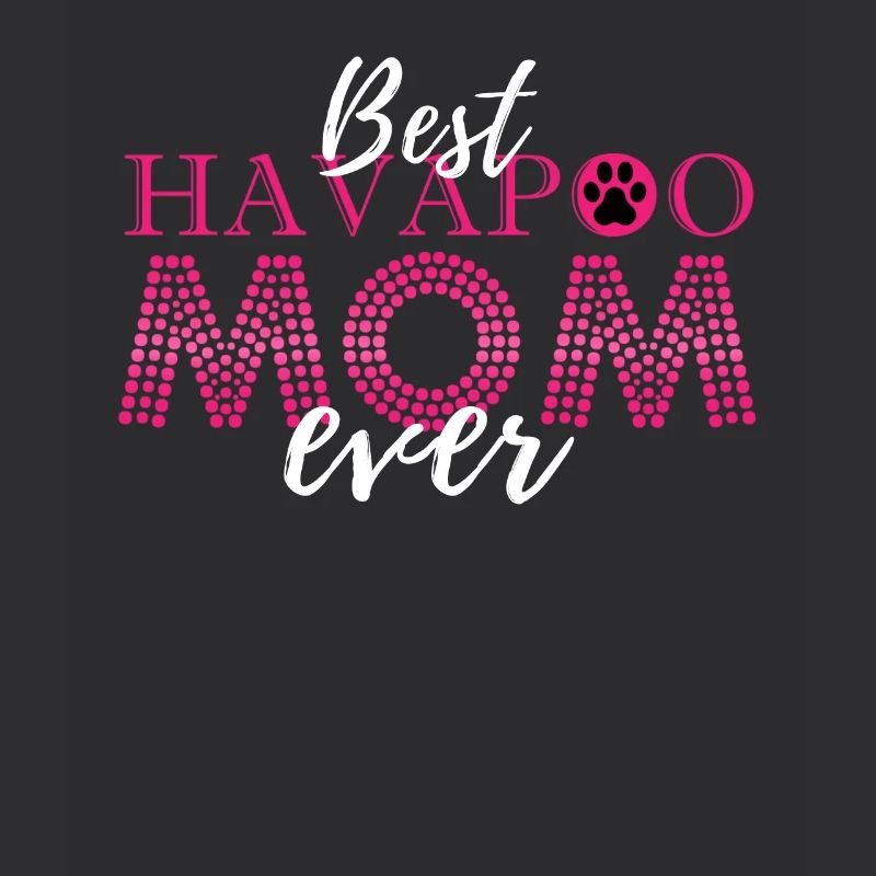 havapoo, havapoo havapoo ciel, mélange de caniche,