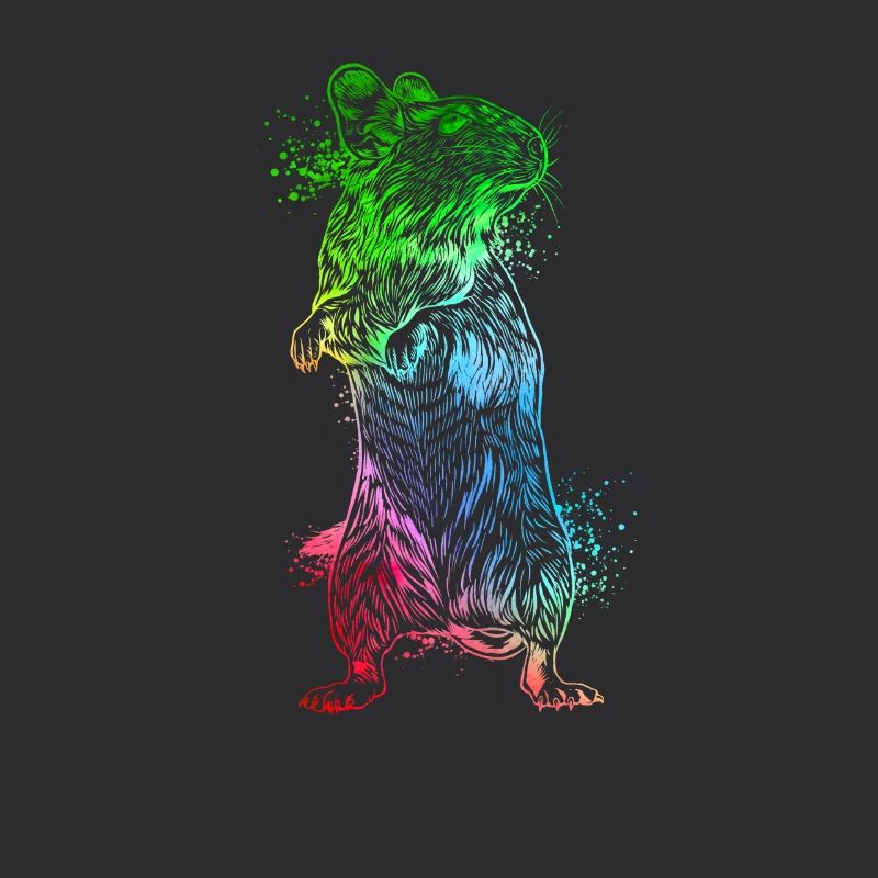 Degu coloré