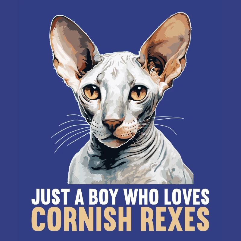 Cornish Rex Kitten Cornish Rex Cat