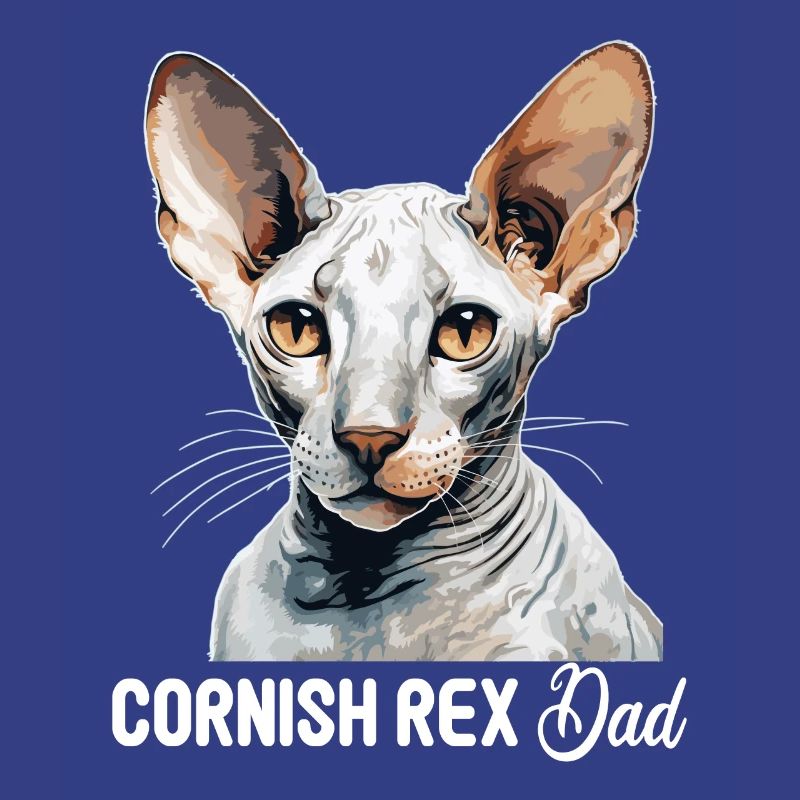 Cornish Rex Kätzchen Cornish Rex Katze