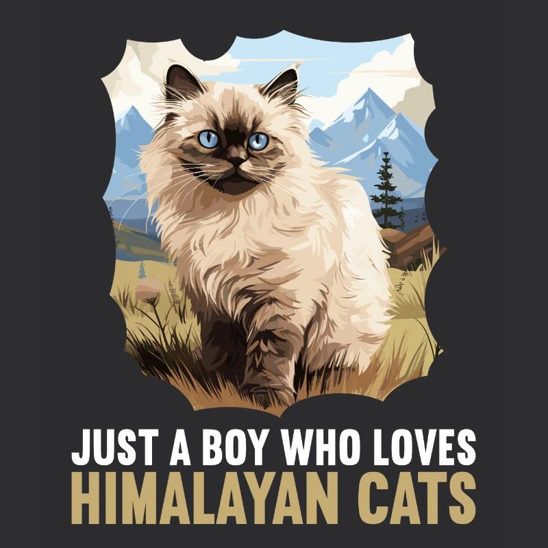 Chat de l’Himalaya Colourpoint Katze