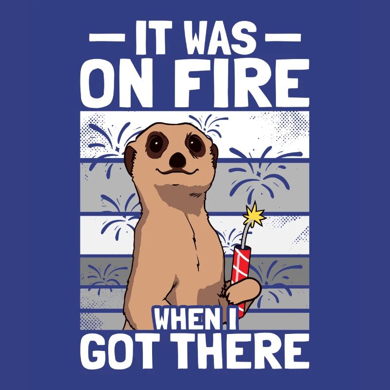 It was on fire: pyrotechnicians, firecrackers, fireworks