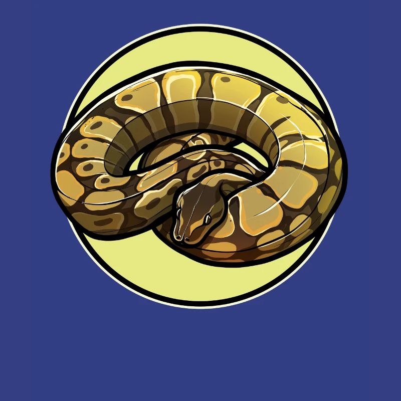 Ball Python Roi Python Roi Python