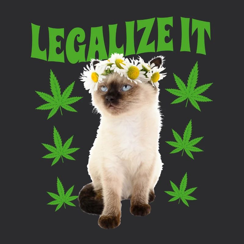Cat Stoned Stoned Smoking Weed, Hemp Leaf, Hippie