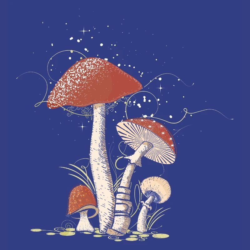 Magical toadstools in the forest illustrated