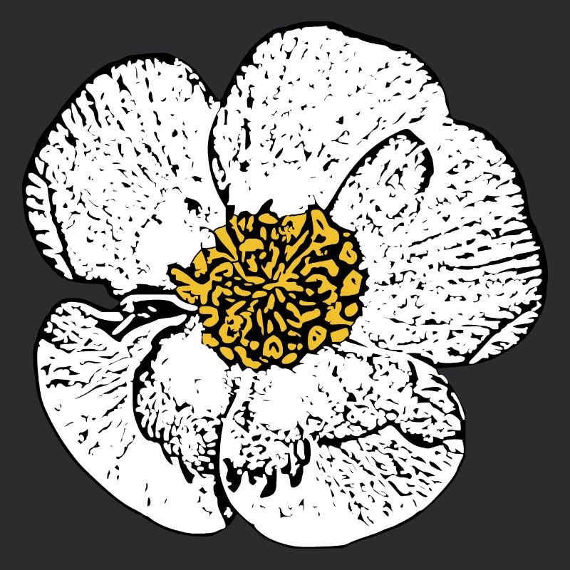 Blume weiß weiße Blumen Geschenk Muttertag Mutter