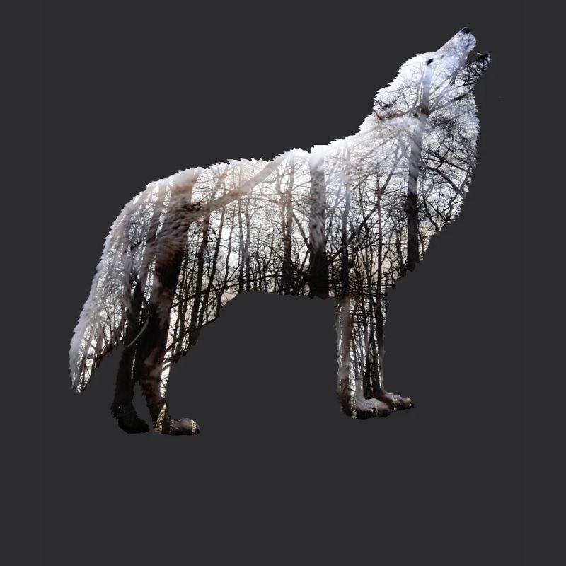 Wolf Forêt Double exposition Nature