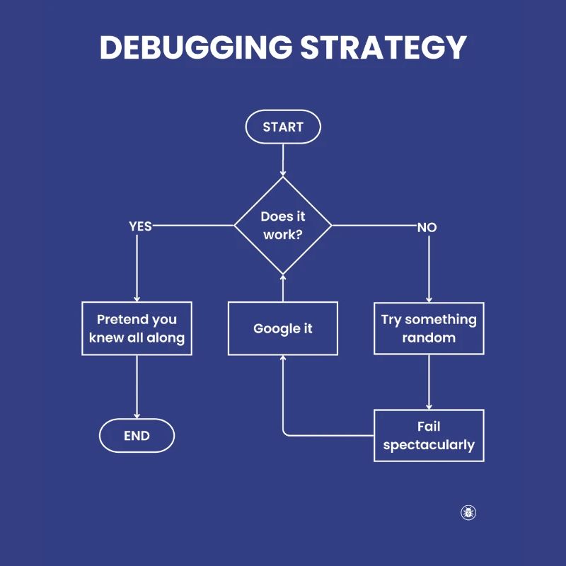 Debugging Strategy Flowchart - Does It Work Gift