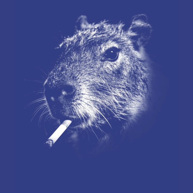Rauchen, Zigarette, Capybara raucht eine Zigarette