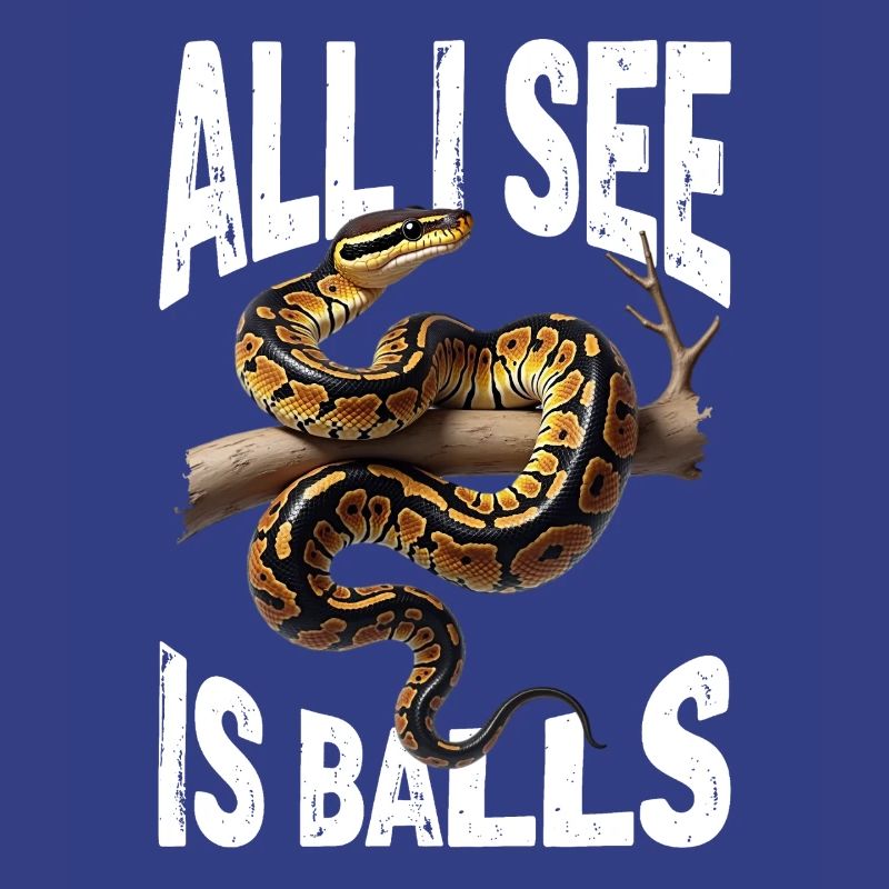 Python roi Serpents Amateurs de terrarium Python