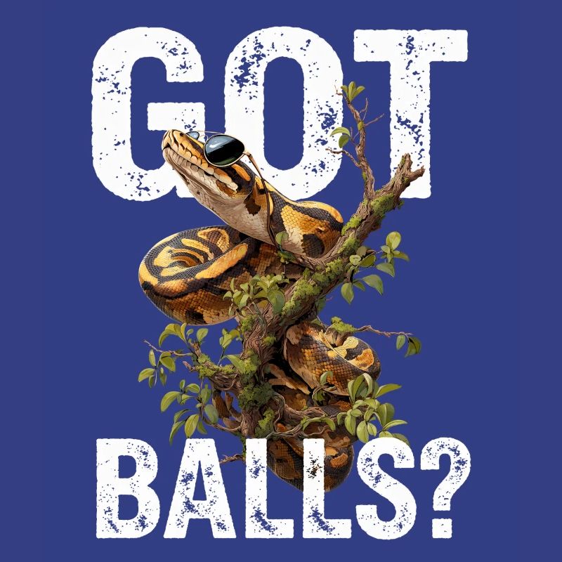 Königspython Schlangen Liebhaber Terrarium Python