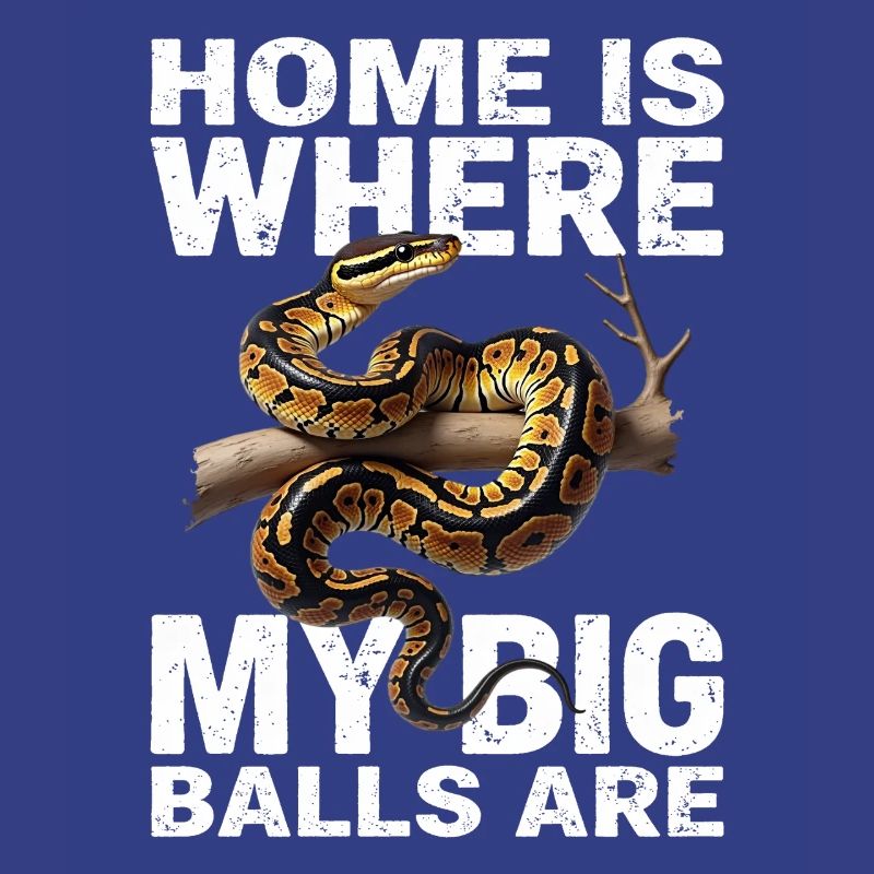 Python roi Serpents Amateurs de terrarium Python