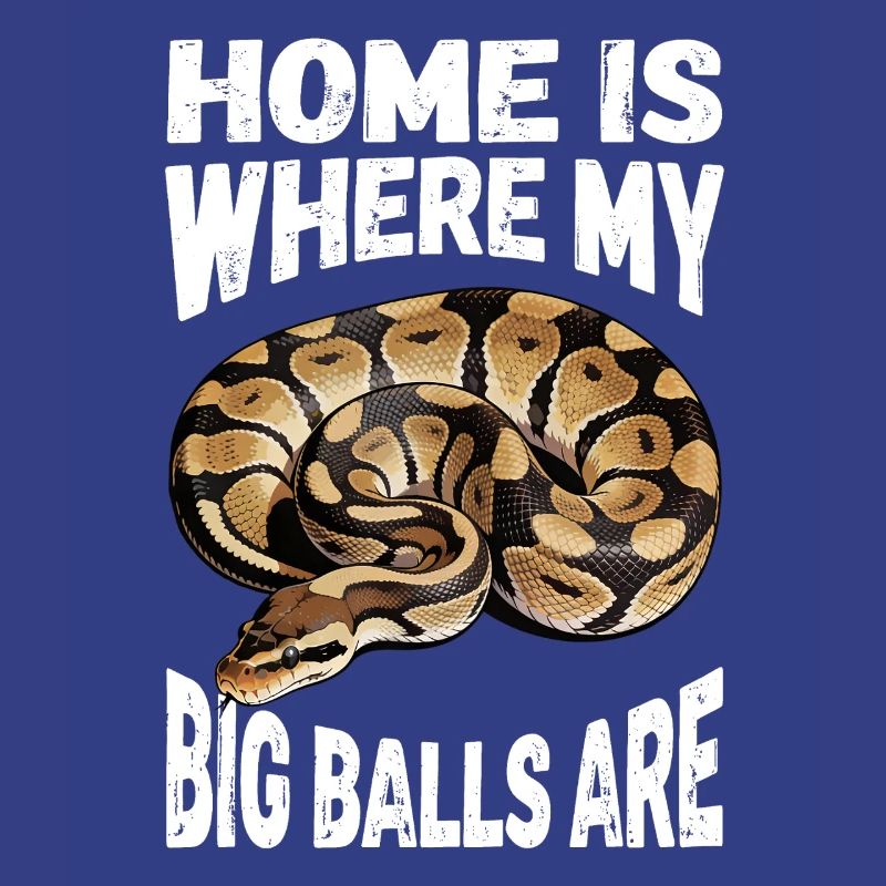 Königspython Schlangen Liebhaber Terrarium Python