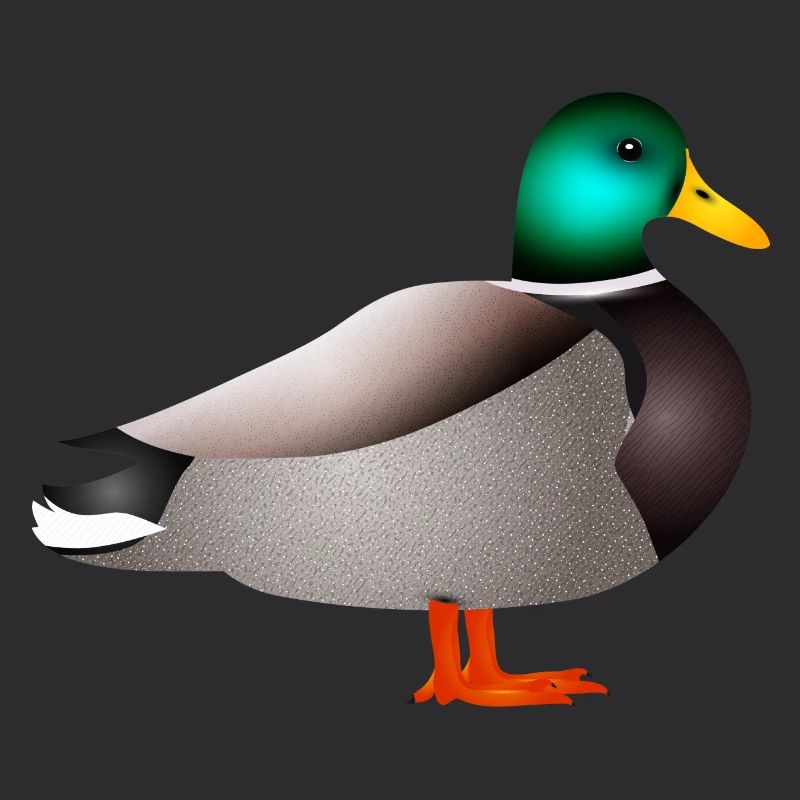 handgezeichnete männliche Ente Erpel oder Enterich