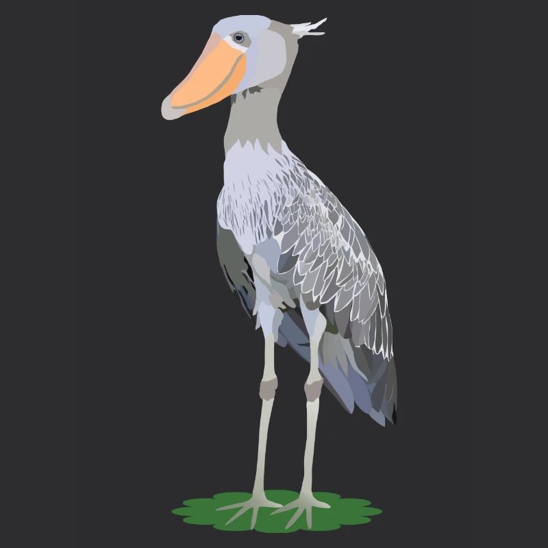 Steffen, shoe beak