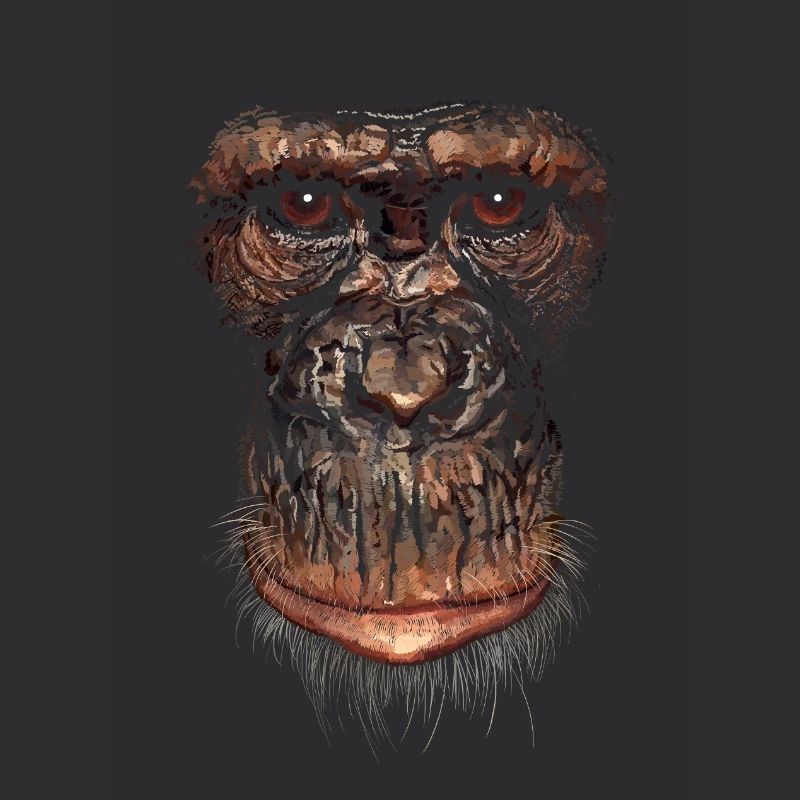 Monkey