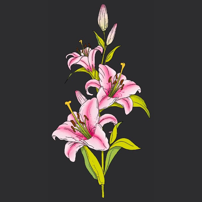 Lys