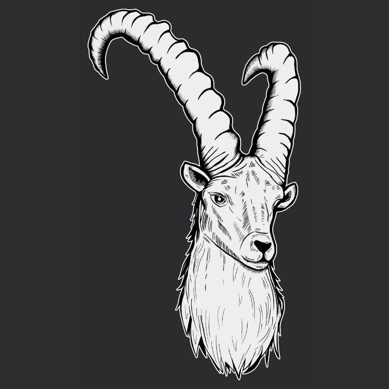 Steinbock Sternzeichen