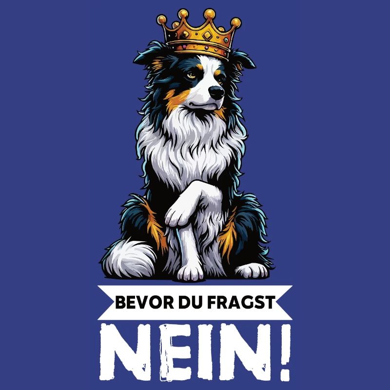 Bevor Du Fragst Australian Shepherd Aussie Aussie