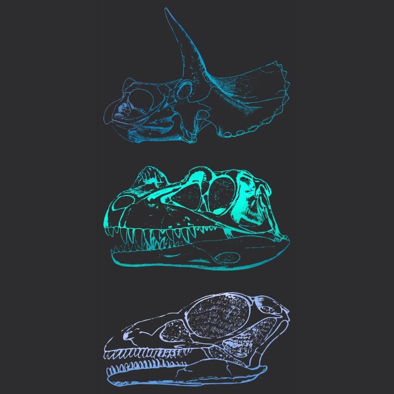 Crânes de dinosaures