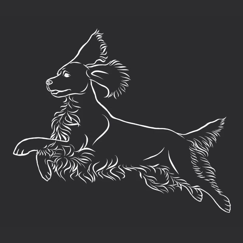Springer Spaniel