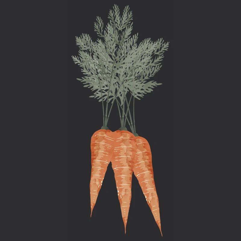Nostalgic carrot bunch as vintage drawing
