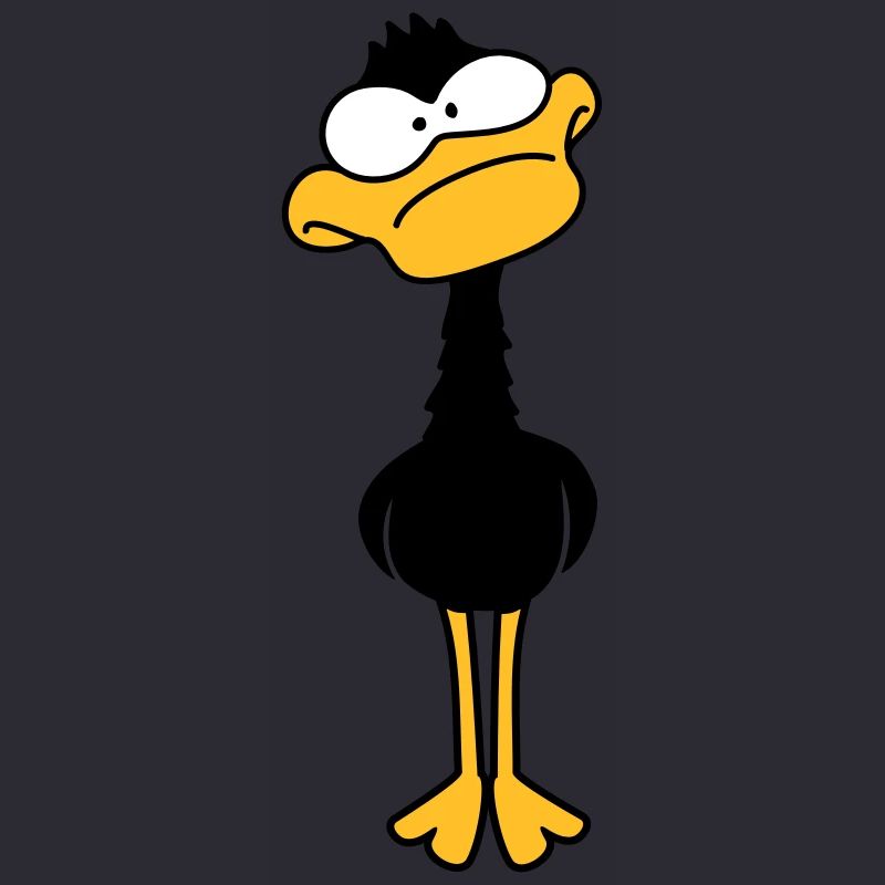 Funny Duck