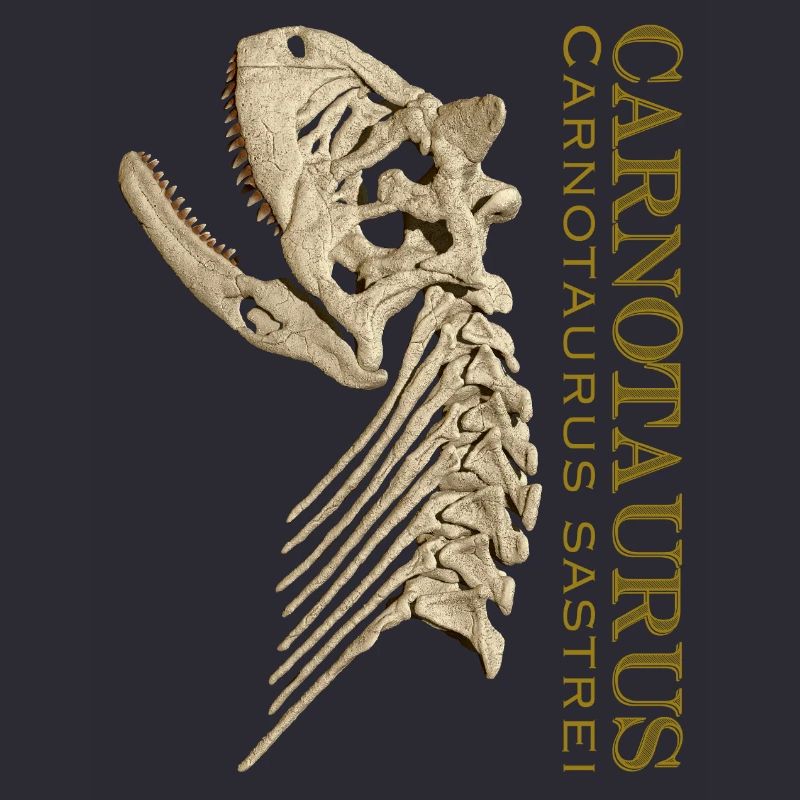 Carnotaurus Schädel bone
