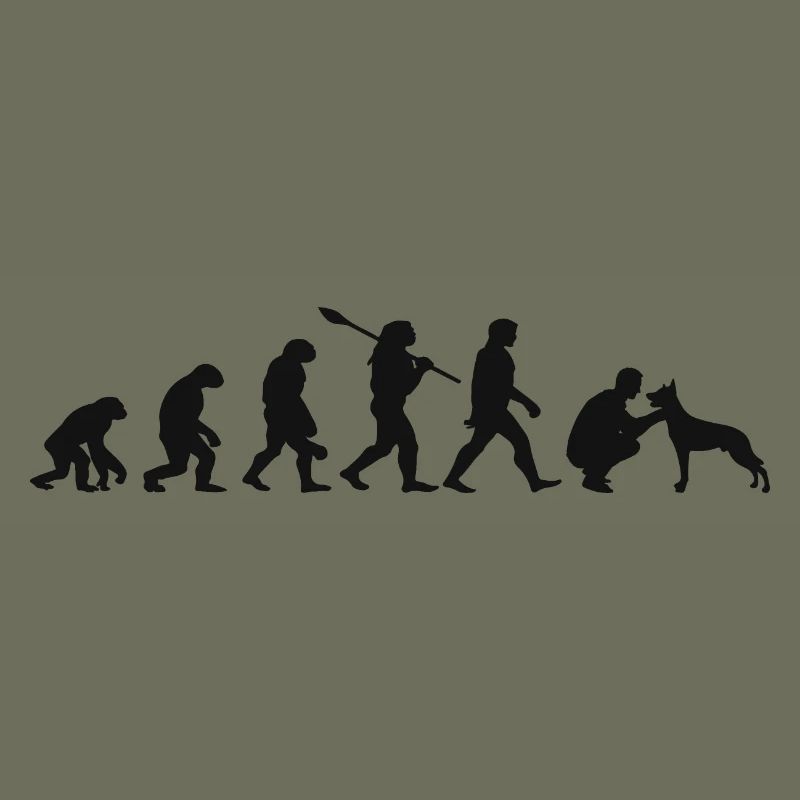 Evolution Lustiger Belgischer Schäferhund Malinois