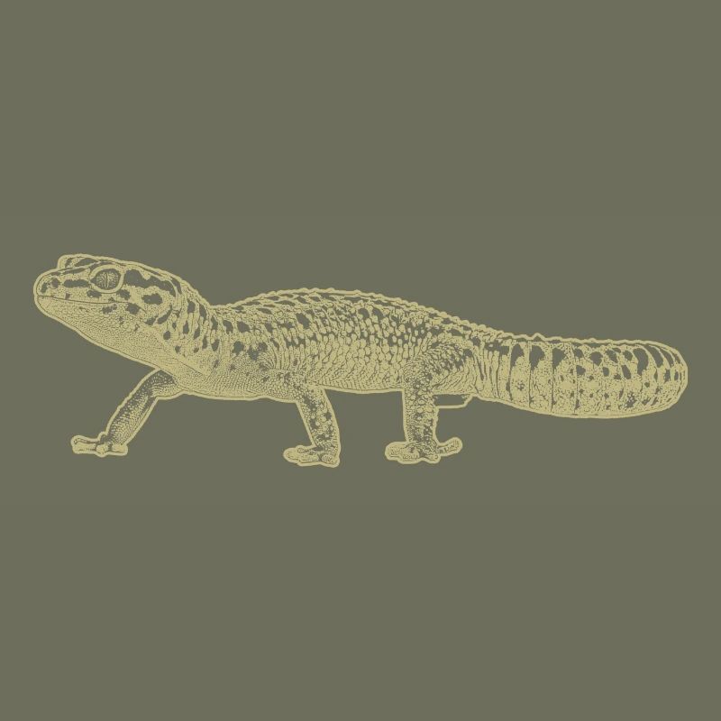 Leopard gecko