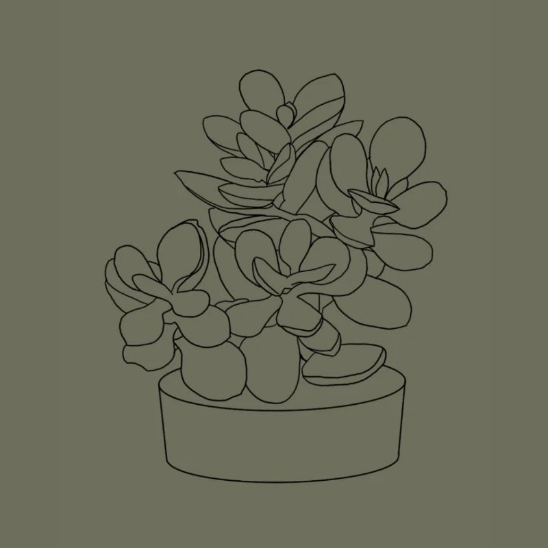 Planter