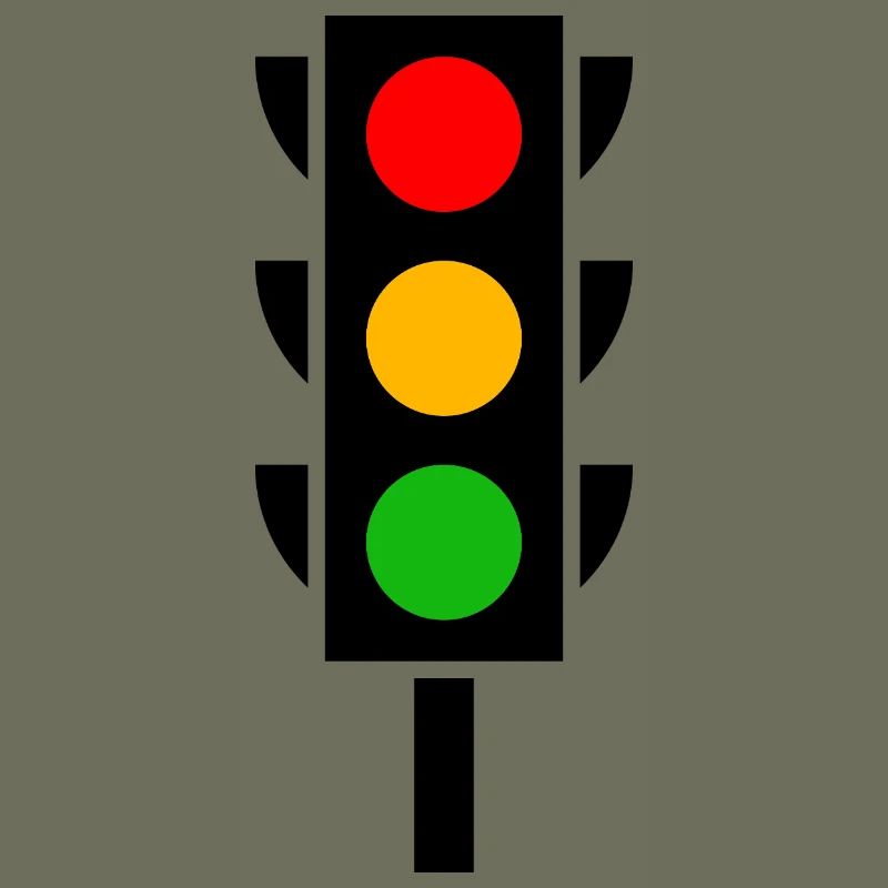 Traffic light driver's license driving school
