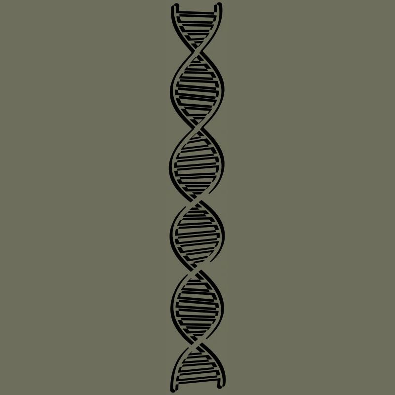 research dna dns genome gene science knowledge c